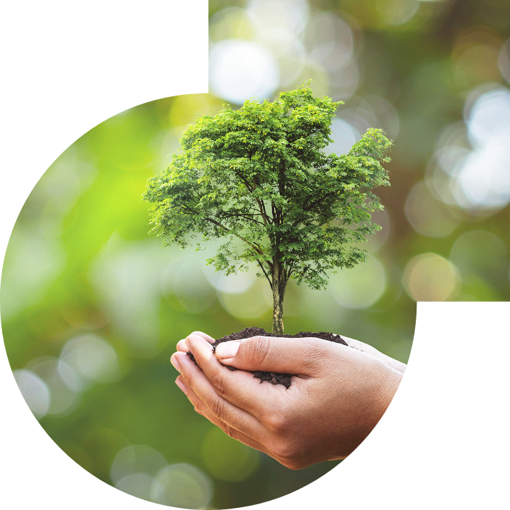 关怀人类、文化、环境与社会